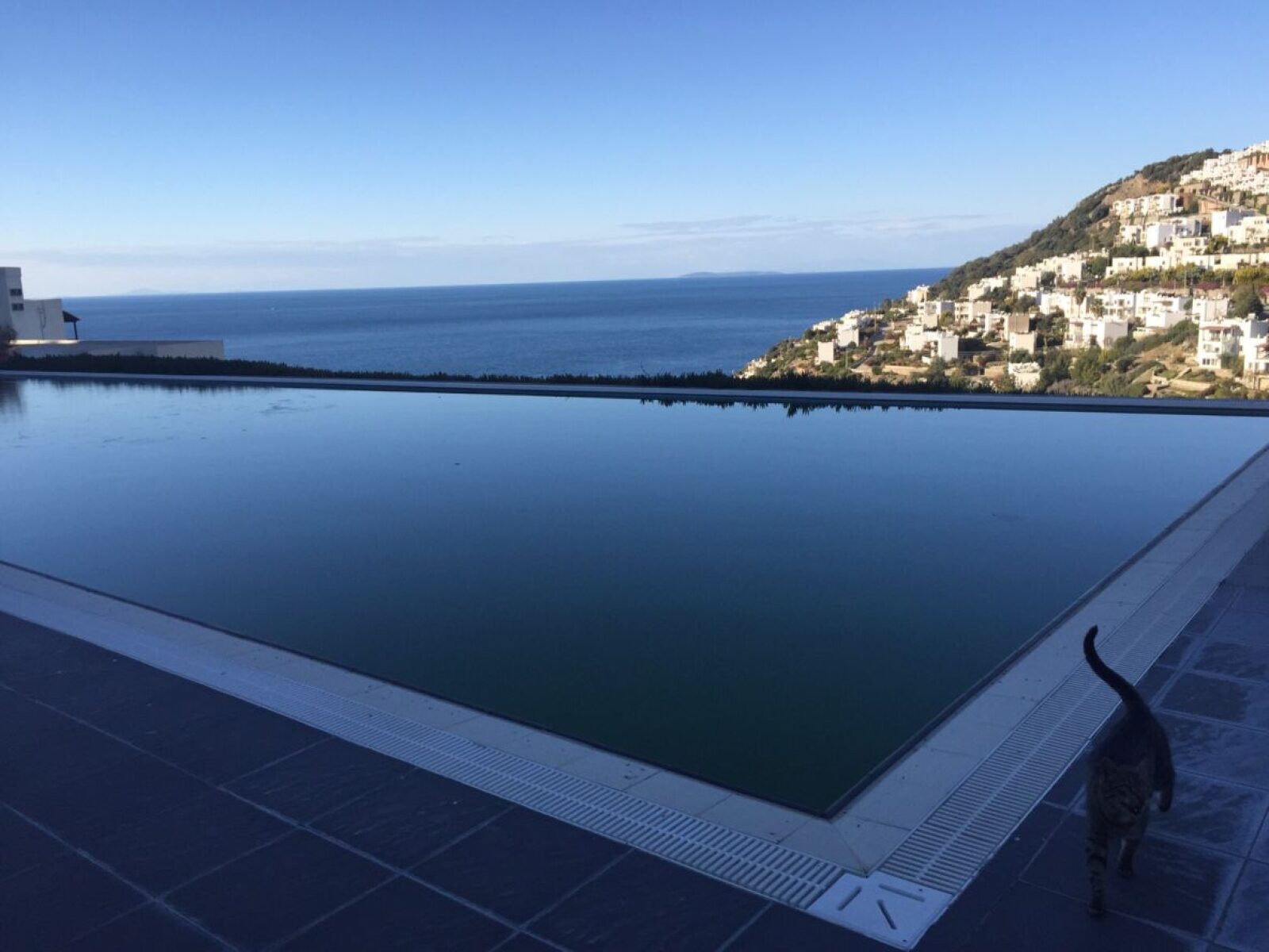 06-Large-infinity-shared-pool-complex-Yalikavak-1003